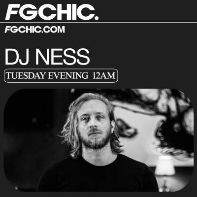FG CHIC MIX HOUSE PARTY BY DJ NESS cover