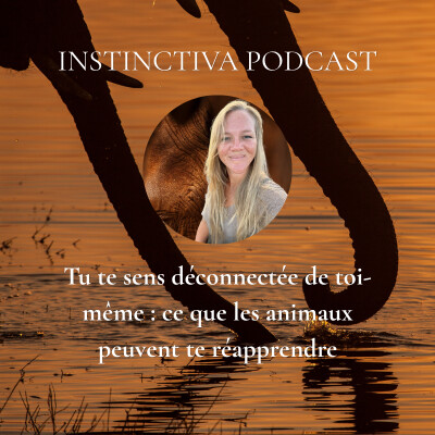 Tu te sens déconnecté(e) de toi-même : ce que les animaux peuvent te réapprendre cover