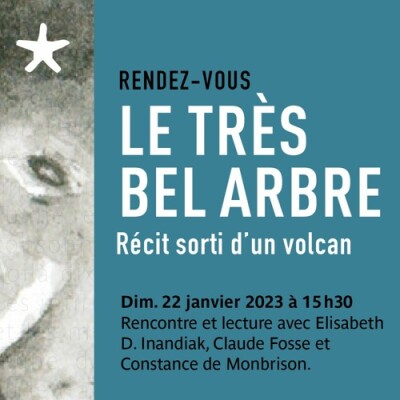 Les rendez-vous du salon de lecture - Avec E. D. Inandiak, C. Fosse et C. De Monbrison autour du livre "Le très bel arbre" cover