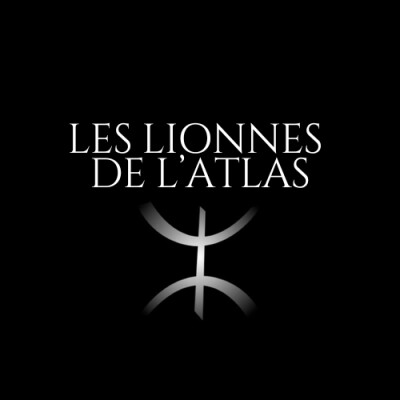 Le cercle des lionnes c'est quoi ? cover