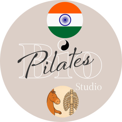 🇮🇳 🐴 पिलेट्स और अश्व: वक्ष पिंजर की गति का तुलनात्मक अध्ययन - Stott Pilates Rib Cage Placement cover