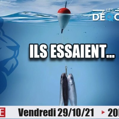 Ils essayent de nous piéger... - 29-10-21 cover