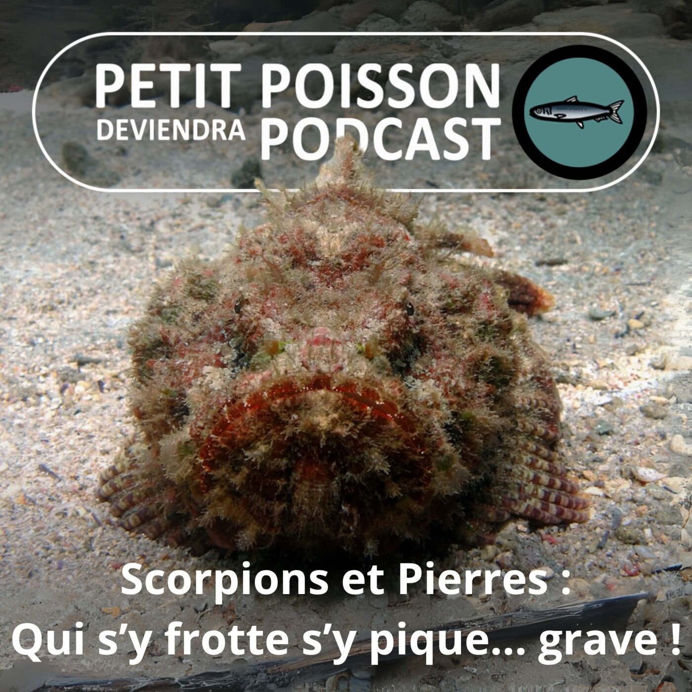 Petit Poisson deviendra Podcast