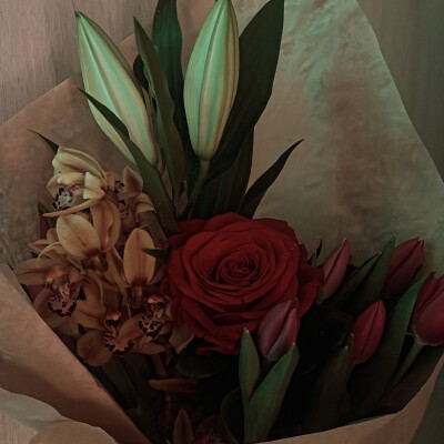 NyouVision - Épisode 12: L’opressé qui décide de devenir à son tour opresseur envers une autre minorité ??! cover