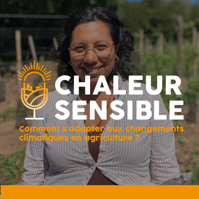 Adaptation au changement climatique: témoignage d'une viticultrice installée aux portes du Finistère et à l'écoute de ce terroir cover
