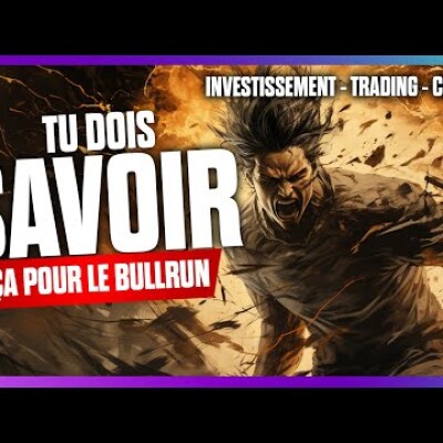 Tu dois savoir ça pour vraiment profiter du BULLRUN ! (IMPORTANT) cover