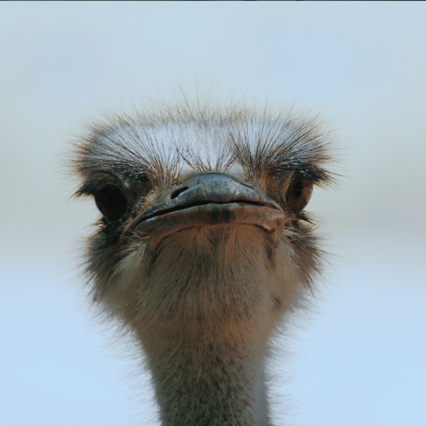 #227 - Pourquoi j'investis comme un idiot