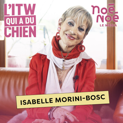 Isabelle Morini-Bosc : la chroniqueuse qui sauvait les animaux errants - Noé Noé le Média cover