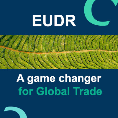 Deforestation: is EUDR a game changer for businesses and global trade? cover