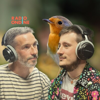 Photographe Naturaliste : Un amoureux de la nature, passionné des petites et des grandes bêtes. cover