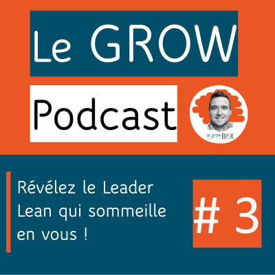 Révélez le Leader Lean qui sommeille en vous ! cover