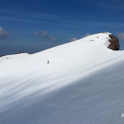 Moutarde et sèche cheveux 100% français ! cover
