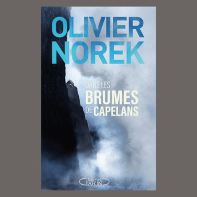 Olivier Norek - Dans les brumes de Capelans cover