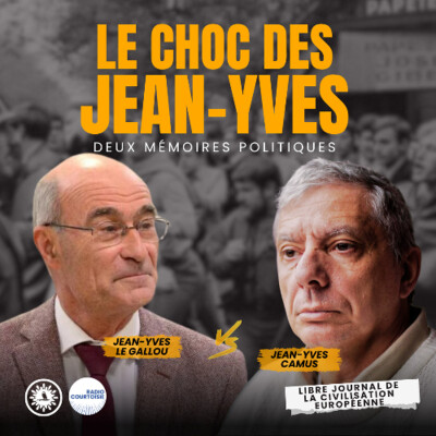 Jean-Yves Camus, Jean-Yves Le Gallou : le choc des mémoires politiques cover
