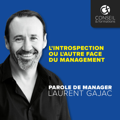 L'introspection ou l'autre face du management cover