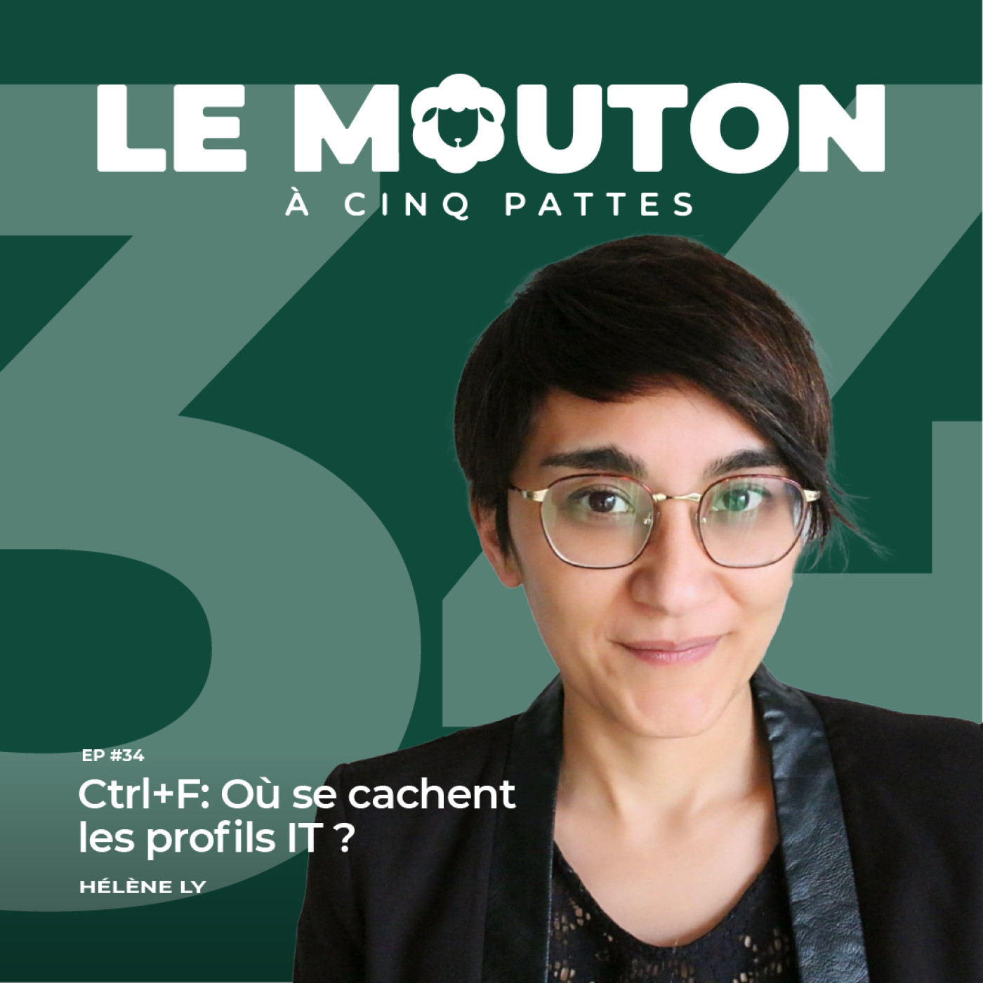 #EP34 - Ctrl+F: Où se cachent les profils IT ? — Avec Hélène Ly