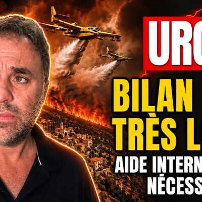 Feux de forêt en Algérie : le bilan réel est très lourd, l’aide internationale devient urgente ! cover