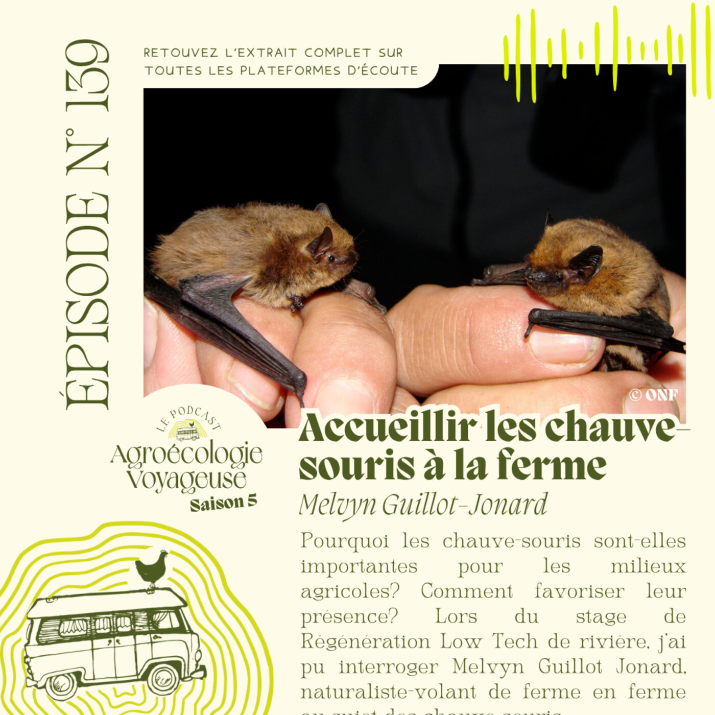 #139 Accueillir les chauve-souris à la ferme - Melvyn Guillot-Jonard
