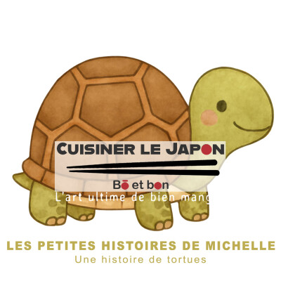 LES PETITES HISTOIRES DE MICHELLE - Une histoire de tortues cover