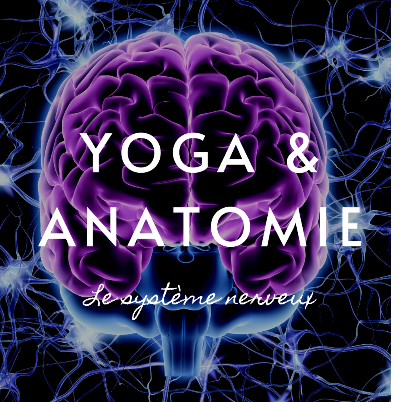 YOGA ET ANATOMIE | LE SYSTÈME NERVEUX | 10MIN POUR COMPRENDRE LE CORPS HUMAIN