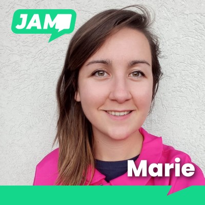 Les Blouses Roses - Marie Fizet cover