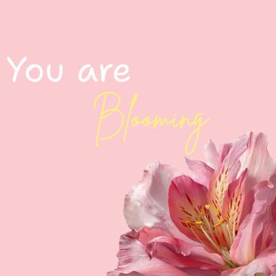 ✨ Let me Introduce ✨ cover