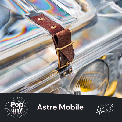 ASTRE MOBILE - Faire renaître une matière disparue – Élise Blouet-Ménard et le mystère du cuir cover