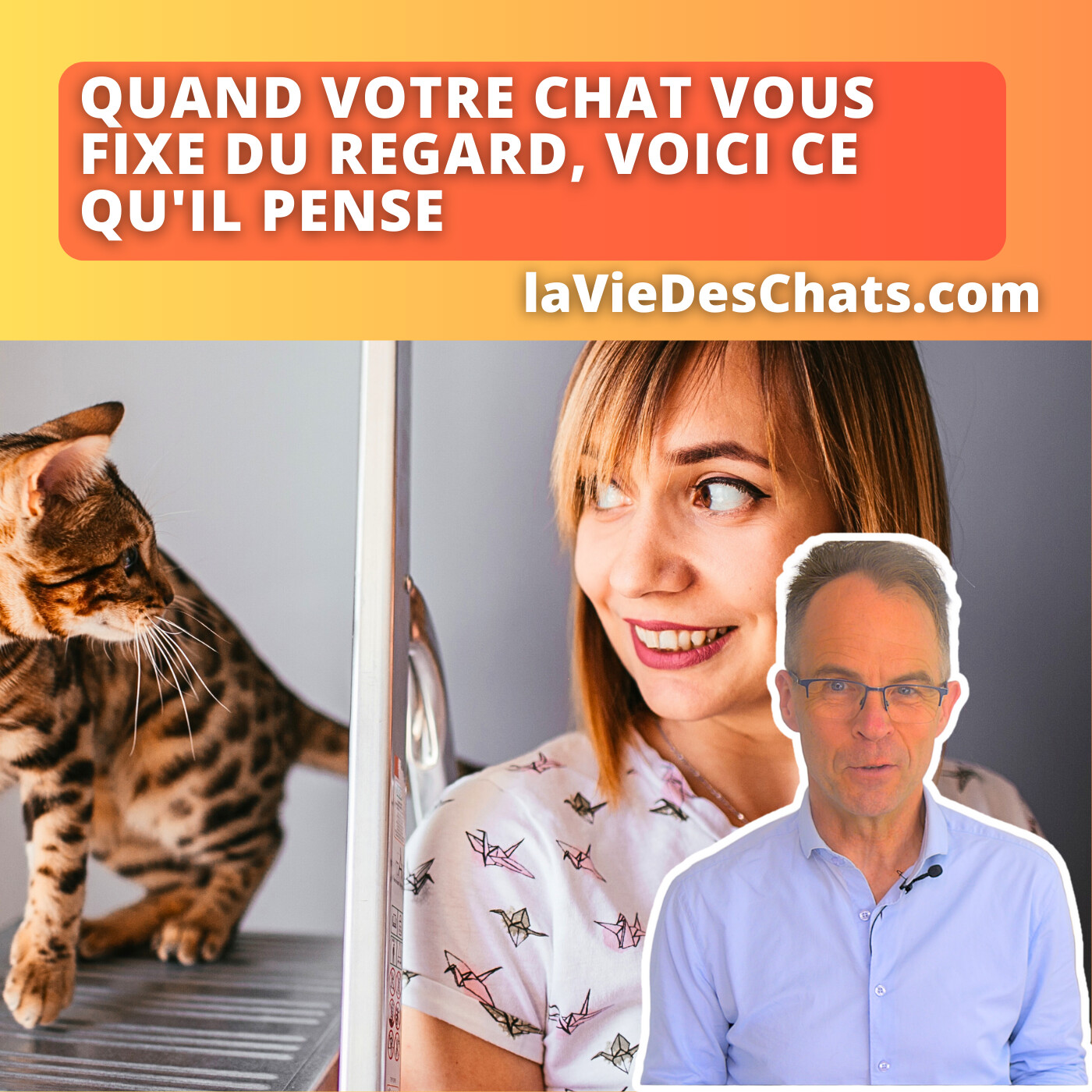 laVieDesChats