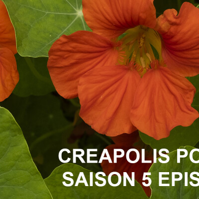 CreApolis (Saison 5) - ÉPISODE 07 - Dr Brigitte Rémy pédopsychiatre cover