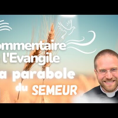 Êtes vous une bonne terre ? Commentaire de l'Evangile | Homélie — Dimanche 16 juillet cover