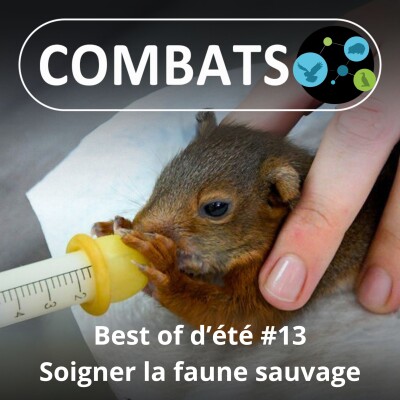 BEST OF D'ÉTÉ #13 : Soigner la faune sauvage 13/13 cover