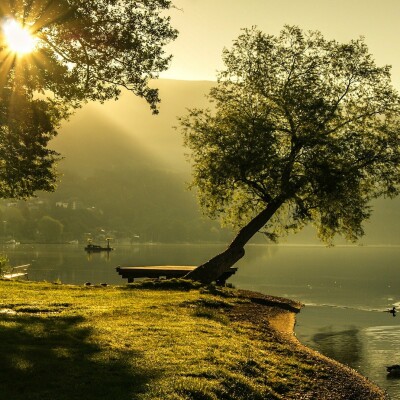 Pour 3 euros, vous pouvez donner vie à un arbre ! cover