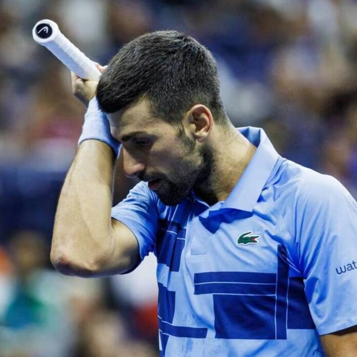 US Open day 5 - Le débrief : Djokovic au tapis, Mertens en huitième, Gauff et Sabalenka en force