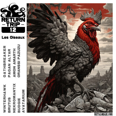 S01E12 Les Oiseaux cover