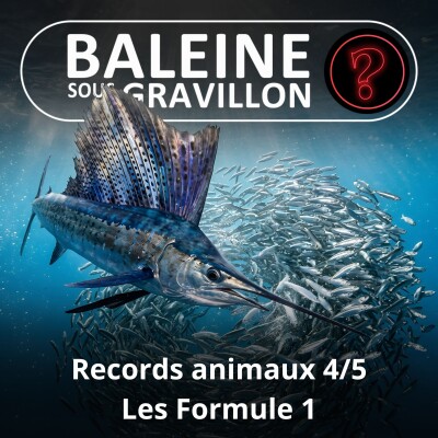 S07E147 Vous avez dit bizarre ? Records 4/5 : Les Formule 1 du Vivant cover