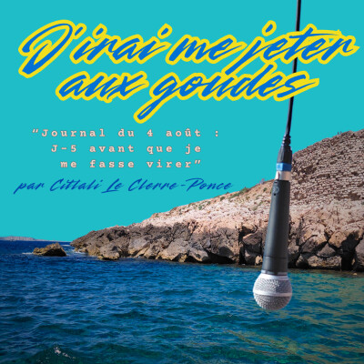 Journal du 4 août - J-5 avant que je me fasse virer cover