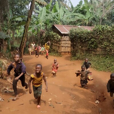 Pacem in Terris - Comment construire la paix? cover