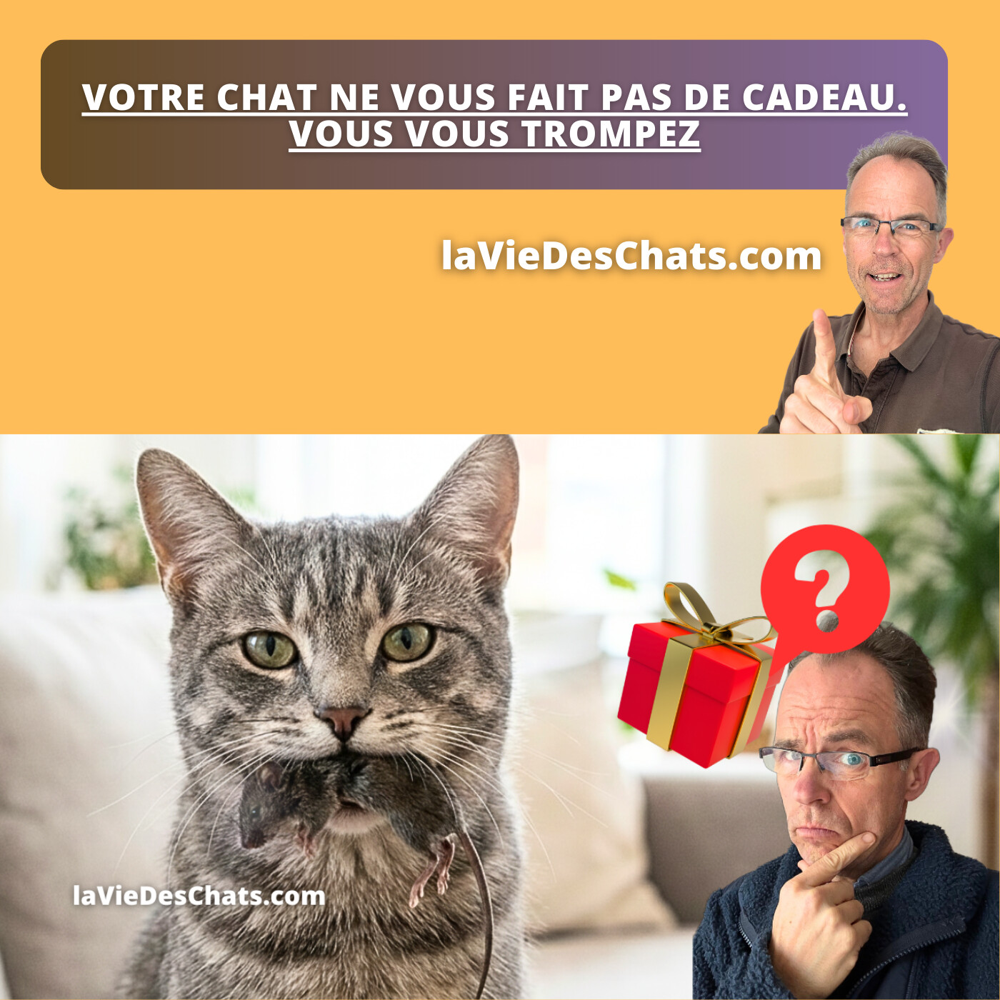 VOTRE CHAT NE VOUS FAIT PAS DE CADEAU. VOUS VOUS TROMPEZ