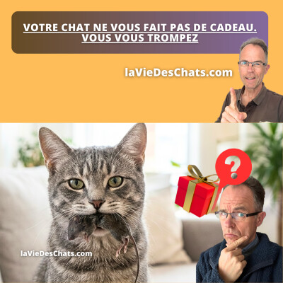 VOTRE CHAT NE VOUS FAIT PAS DE CADEAU. VOUS VOUS TROMPEZ cover