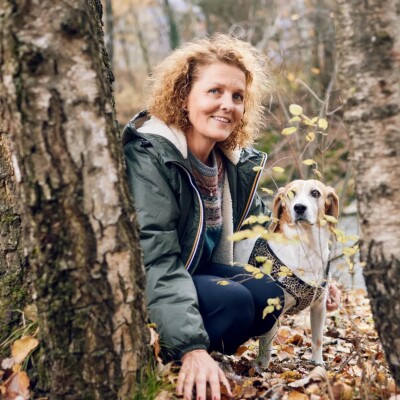 Découvrez un roman helvetique ! cover