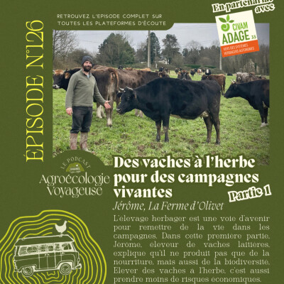 #126 Des Vaches à l’Herbe 🐄🍀 pour des Campagnes Vivantes (1/3) Jérôme de la Ferme d’Olivet cover