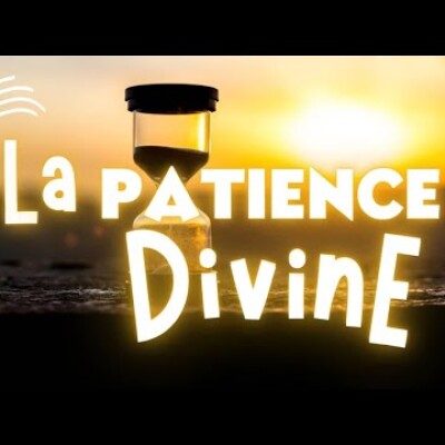 Parole et Évangile du jour | Samedi 25 octobre • Le figuier stérile cover