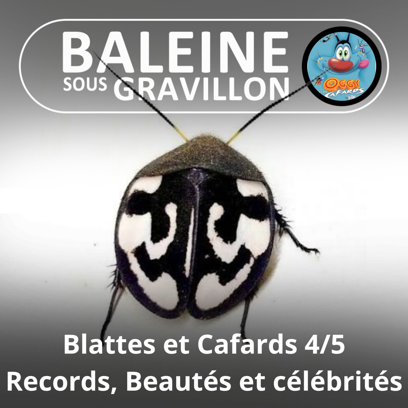 S05E20 Blattes et Cafards 4/5 : Records et célébrités episode artwork