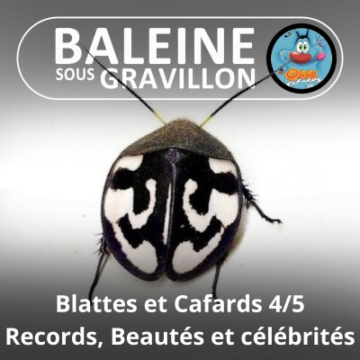 S05E20 Blattes et Cafards 4/5 : Records et célébrités cover