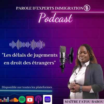 Les deÌlais de jugements en droit des eÌtrangers cover