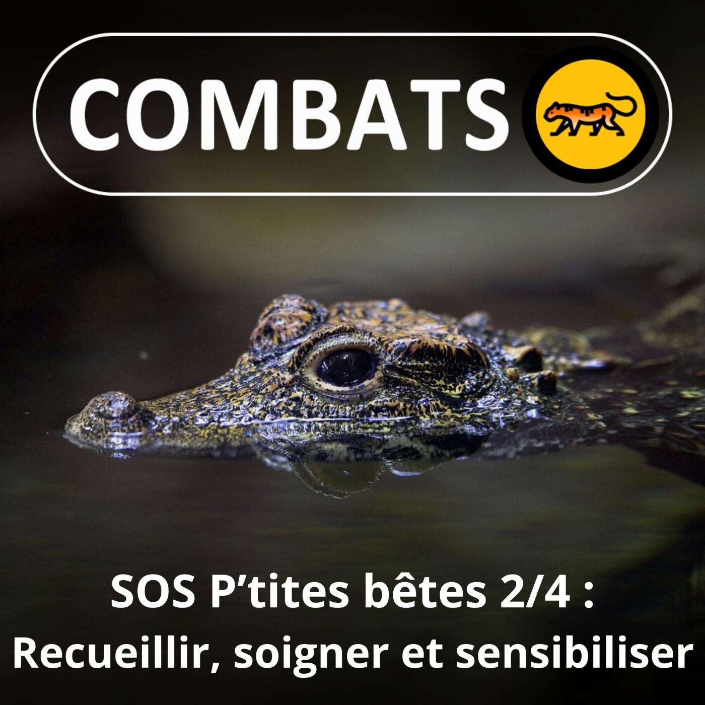 S01E35 SOS P'tites Bêtes 2/4 : Recueillir, soigner, placer et sensibiliser  (Abel Jeudon)