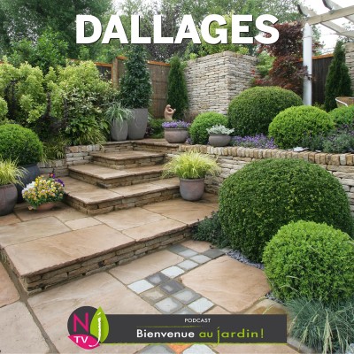 LE DOSSIER: DALLAGES : LESQUELS CHOISIR ET COMMENT LES POSER ? cover