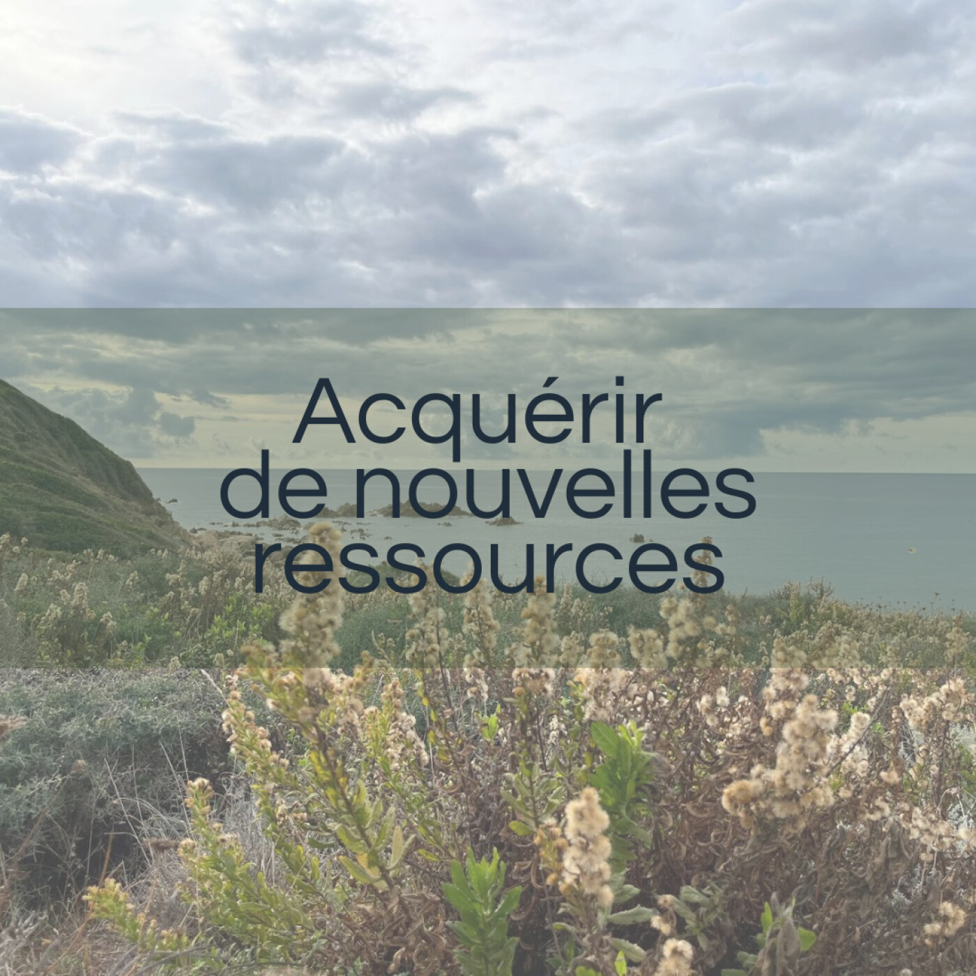 Maquis Vivant