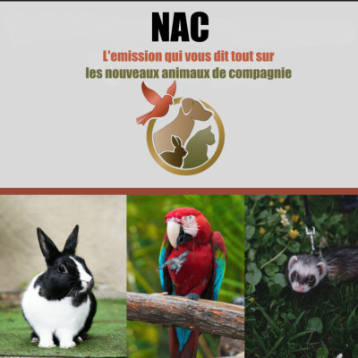 NAC-Le hamster cover