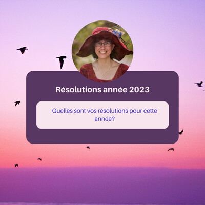 Les résolutions cover